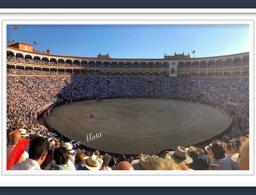 Nunca tantas ferias taurinas se presentaron tan pronto: Castellón, Valdemorillo, Olivenza, Fallas y San Isidro, por Navidad. – DE SOL Y SOMBRA
