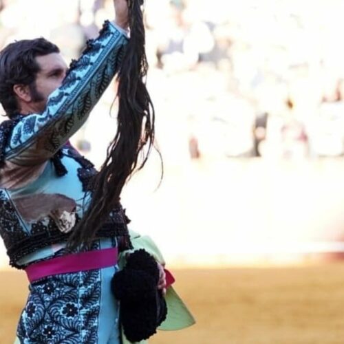 Todas las estadísticas de Morante en Sevilla: 77 paseíllos, 30 orejas y un rabo