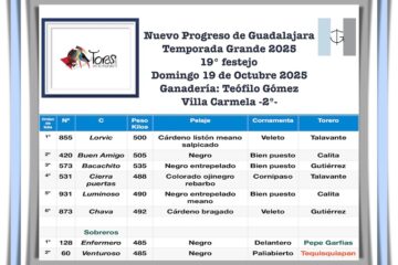 Orden de lidia de los toros de Teófilo Gómez para Guadalajara