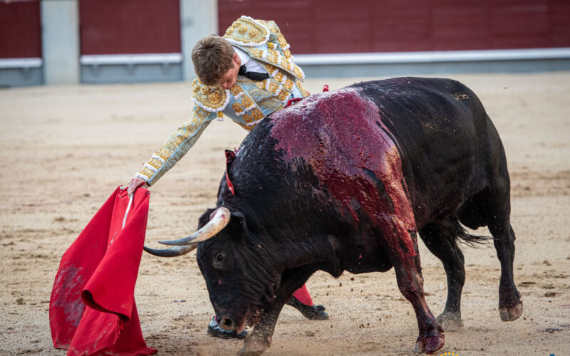 Borja Jiménez: tarde de paso adelante y crédito intacto en Madrid