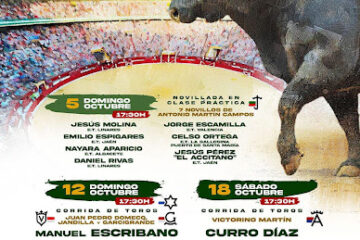 CARTEL FERIA TAURINA DE SAN LUCAS EN JAÉN