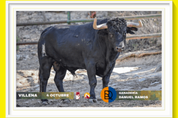 Andreu, Vilau y Torrijos por ser el triunfador del Circuito Valenciano 2025