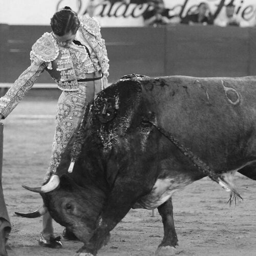 El toreo a ralentí de Juan Ortega hace rugir al Nuevo Progreso