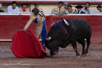 El comentario de Paco Quirarte… Vuelve Andrés Roca Rey, sí, al Nuevo Progreso este domingo 30 de Noviembre