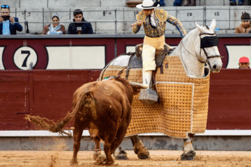 El fiel picador de Morante que ha decidido que no toreará más si no es con él: «Me voy»