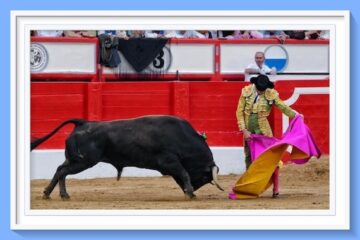 El comentario de Francisco Quirarte… Continúa Guadalajara el domingo 23 de Noviembre con destello de arte