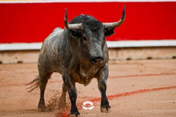Pamplona apuesta por la continuidad para San Fermín 2026 
