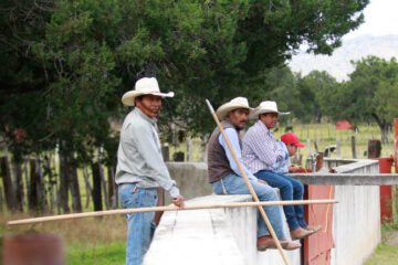 Galería de Fernando Moreno… Sale a hombros Emilio de Justo en la primer corrida de Tlaxcala