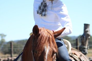 El reportaje de Héctor Lobatón… El Mojito ensayó en la ganadería tlaxcalteca Dª Magdalena González