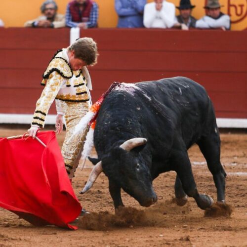 Gran triunfo de Borja Jiménez en Tlaxcala (México)