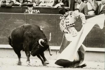 Muere el maestro Rafael de Paula