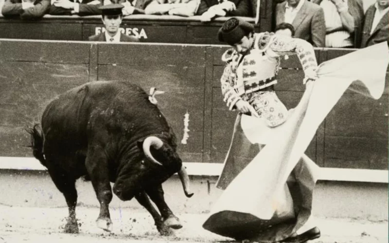 Muere el maestro Rafael de Paula