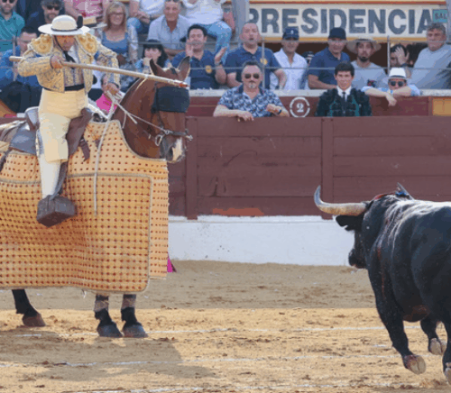El Club Taurino 3 Puyazos da a conocer las ganaderías para su próxima Feria del Aficionado de 2026