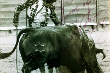 LA MUSICA CALLADA DEL TOREO NUNCA MUERE, QUEDA EN LA MEMORIA DEL QUE LA SIENTE 