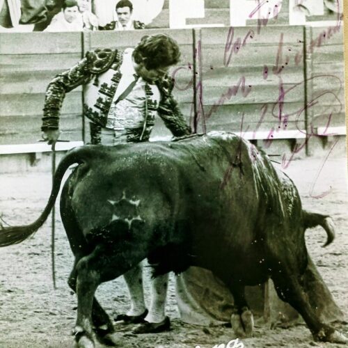 LA MUSICA CALLADA DEL TOREO NUNCA MUERE, QUEDA EN LA MEMORIA DEL QUE LA SIENTE 