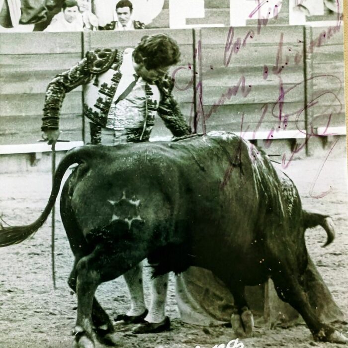 LA MUSICA CALLADA DEL TOREO NUNCA MUERE, QUEDA EN LA MEMORIA DEL QUE LA SIENTE 