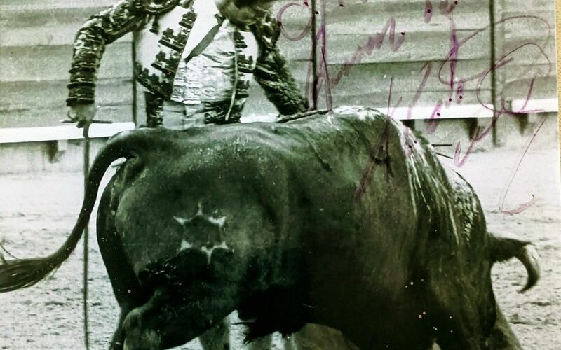 LA MUSICA CALLADA DEL TOREO NUNCA MUERE, QUEDA EN LA MEMORIA DEL QUE LA SIENTE 