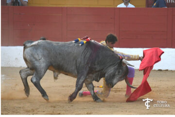 El Club Taurino Tres puyazos presenta una muy dura Feria del Aficionado.