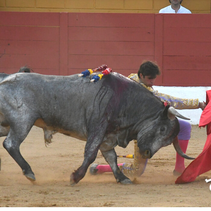 El Club Taurino Tres puyazos presenta una muy dura Feria del Aficionado.