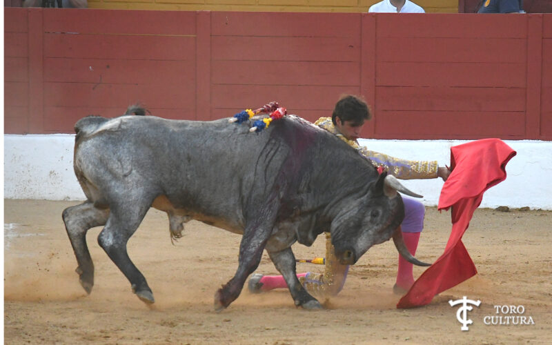 El Club Taurino Tres puyazos presenta una muy dura Feria del Aficionado.