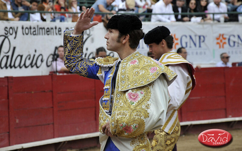 La Galería de David Serrato… el insustancial ganado de Bernaldito el 30 de Noviembre en Guadalajara