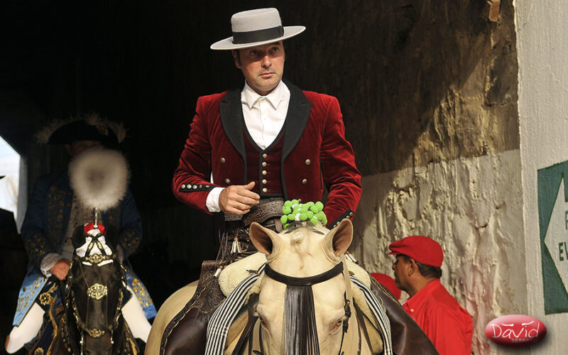 La Galería de David Serrato… de la interesante corrida de rejones el 7 de Diciembre en Guadalajara