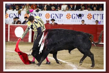 En León… Roca Rey llenó la plaza para un festejo insustancial y se llevó una fractura