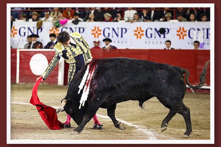 En León… Roca Rey llenó la plaza para un festejo insustancial y se llevó una fractura
