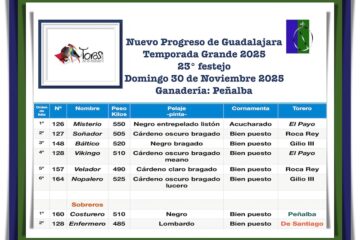 Orden de lidia de los toros de Peñalba para Roca Rey en Guadalajara