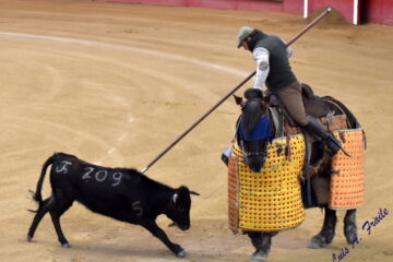 El reportaje de Luis Fraile… Tentadero público en la Plaza de La Candelaria de Valdemorillo