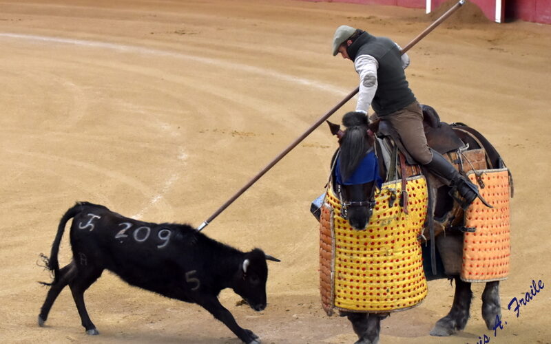 El reportaje de Luis Fraile… Tentadero público en la Plaza de La Candelaria de Valdemorillo