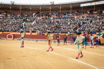 Castellón prepara un elenco ganadero con dos novedades 