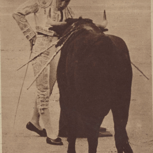 Manolo Vázquez en la rectitud