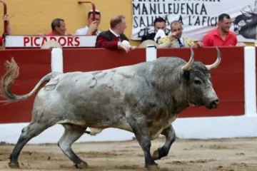 Céret confirma su elenco ganadero para 2026 y anuncia una encerrona novilleril. 