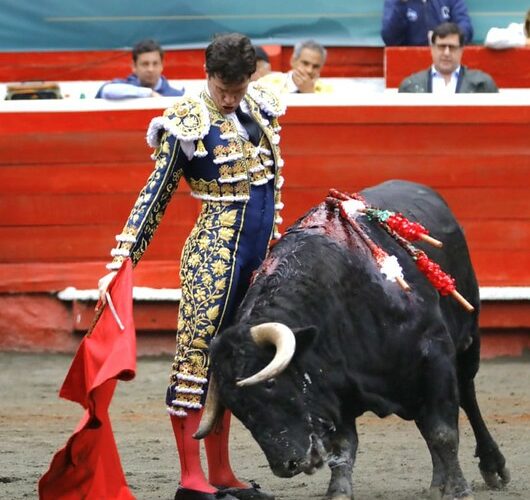 Bajo el agua, Manizales premió el oficio