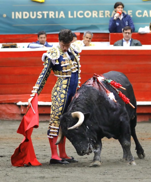 Bajo el agua, Manizales premió el oficio