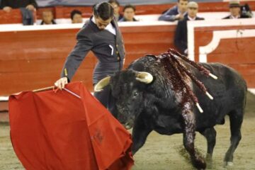 En Manizales… ¡Que vergüenza señores!