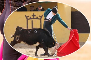 El toreo llora la muerte del jovencísimo novillero madrileño Nicolás Cubero, alumno de la Escuela El Juli