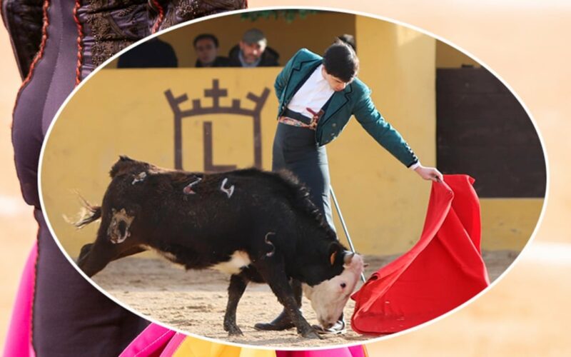 El toreo llora la muerte del jovencísimo novillero madrileño Nicolás Cubero, alumno de la Escuela El Juli