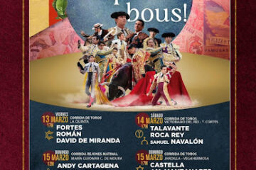 CARTEL FERIA DE FALLAS – VALENCIA