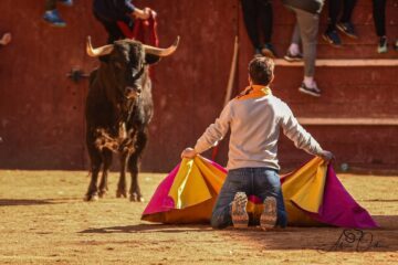 El reportaje de Alfredo Rodríguez Blázquez… El Carnaval del toro de Ciudad Rodrigo 2026