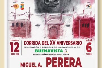 El cartel para conmemorar el XV aniversario de la inauguración de la plaza de Don Benito