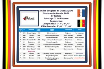 Orden de lidia de los toros de Campo Real y Villa Carmela para la 2ª de Guadalajara 2026