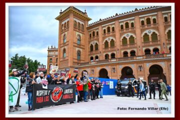 La entrevista de Antonio Lorca… Taurinos y antitaurinos, en la polémica reside la revitalización de la fiesta de los toros