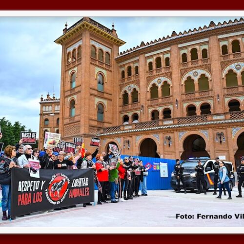 La entrevista de Antonio Lorca… Taurinos y antitaurinos, en la polémica reside la revitalización de la fiesta de los toros