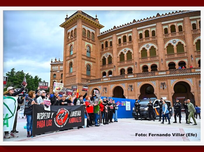 La entrevista de Antonio Lorca… Taurinos y antitaurinos, en la polémica reside la revitalización de la fiesta de los toros