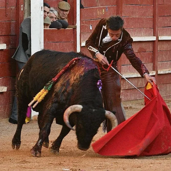  Ciudad Rodrigo: el toreo de Urdiales, Talavante, Aguado y el futuro charro en medio del vendaval