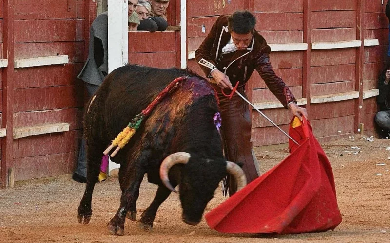  Ciudad Rodrigo: el toreo de Urdiales, Talavante, Aguado y el futuro charro en medio del vendaval