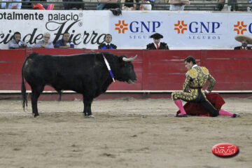 El Comentario de Paco Quirarte… Sobre la 1ª parte de la temporada 2026 de El Nuevo Progreso