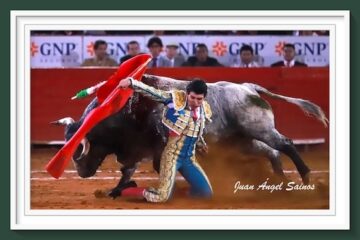 El michoacano Isaac Fonseca ante su reto con los imponentes toros de Dolores Aguirre